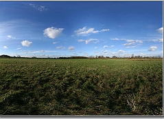 Freies Feld